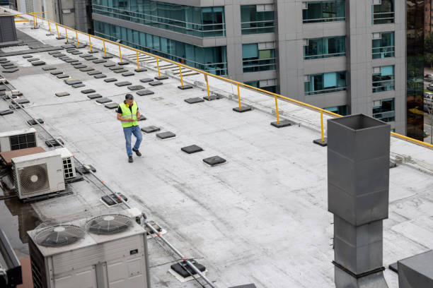 Best Steel Roofing  in Palos Verdes Estates, CA