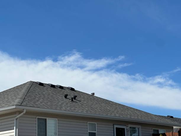 Best Slate Roofing  in Palos Verdes Estates, CA